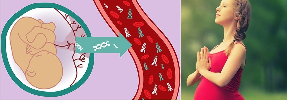 Xét nghiệm ADN huyết thống trước sinh